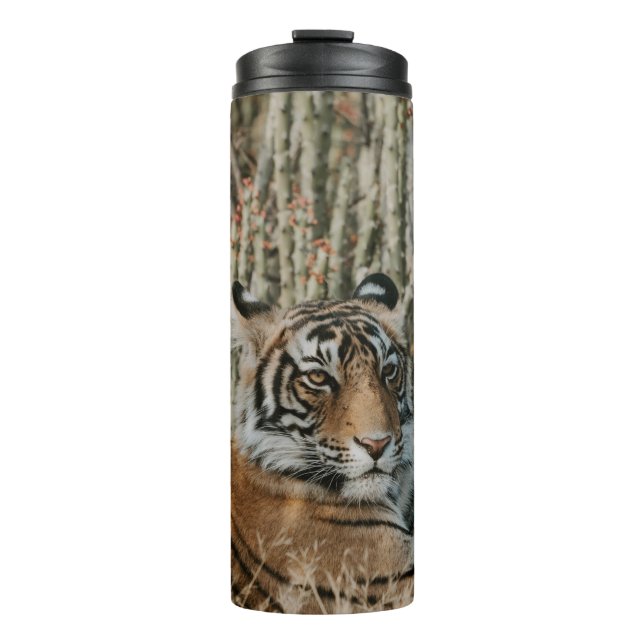 GARRAFA TÉRMICA TIGER IN THE WILD RESTING (Frente)