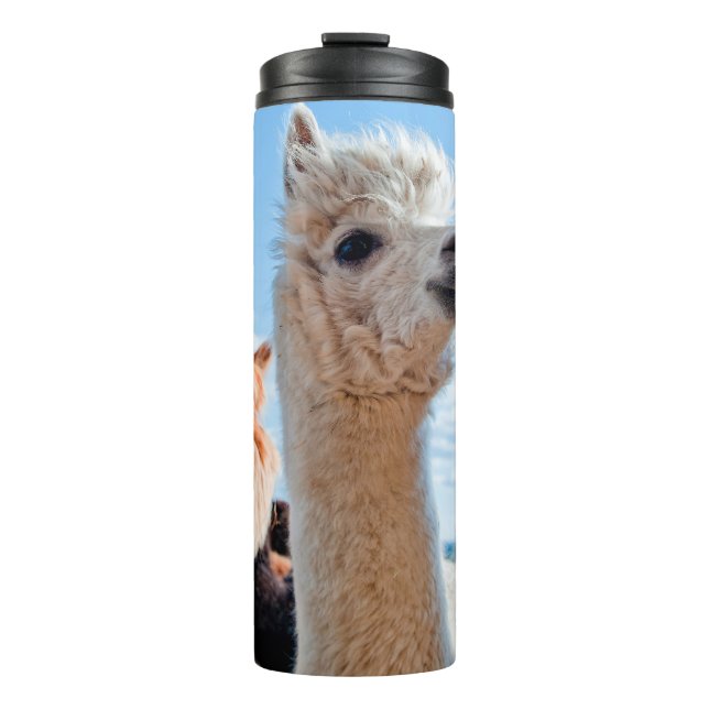 Garrafa Térmica Três Alpacas Engraçados (Frente)