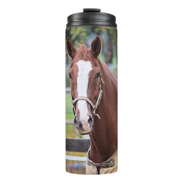 Garrafa Térmica Tumbador de cavalo (Frente)