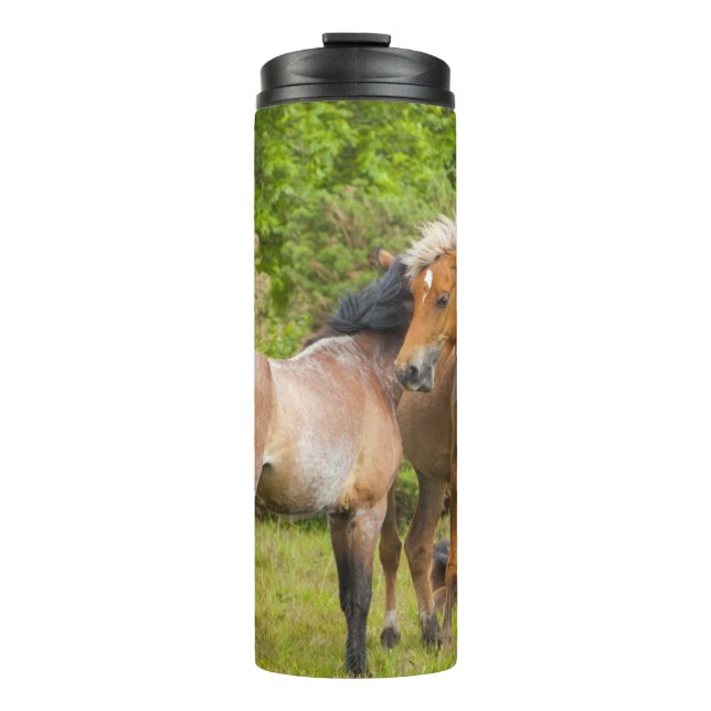 Garrafa Térmica Tumbador de cavalo (Frente)