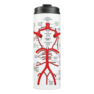 Garrafa Térmica Tumbler térmico