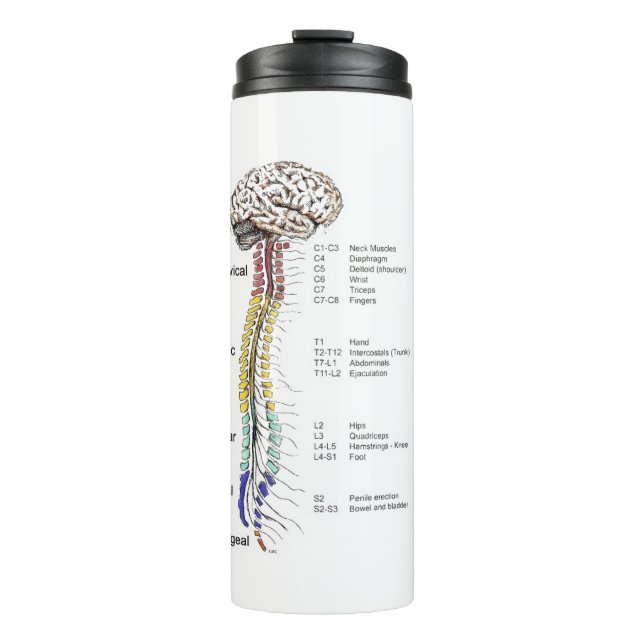 Garrafa Térmica Tumbler térmico (Frente)