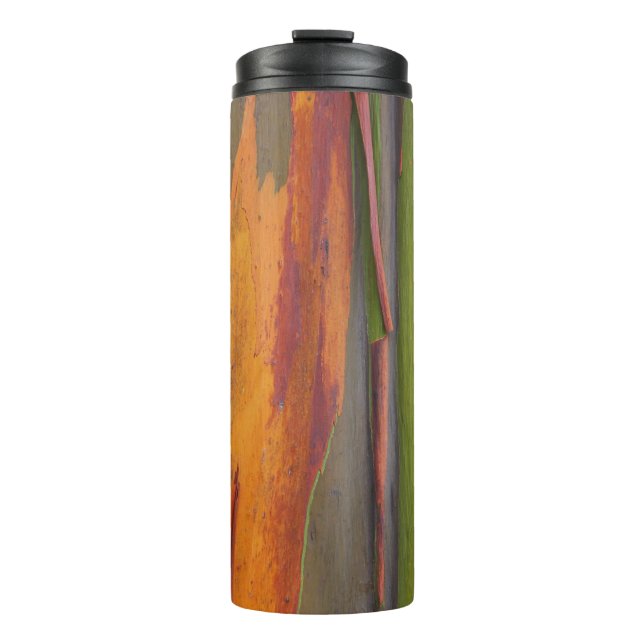 Garrafa Térmica Tumbler térmico 07 - Rainbow Eucalyptus (Frente)