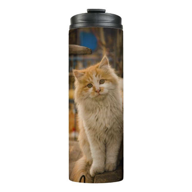 Garrafa Térmica Tumbler Térmico com Design de Gato Bonito (Frente)