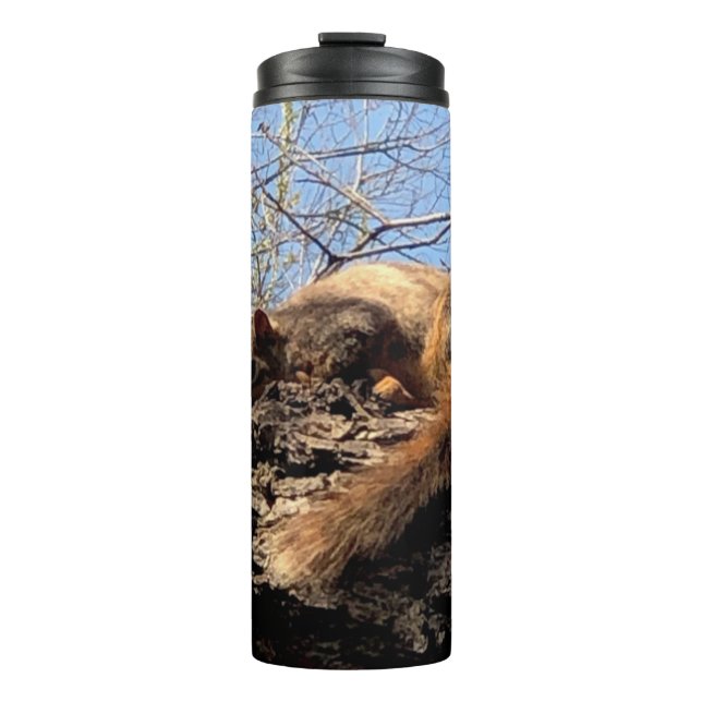 Garrafa Térmica Tumbler Térmico de Esquilo (Frente)