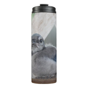 Garrafa Térmica Tumbler Térmico do Baby Blue Jay