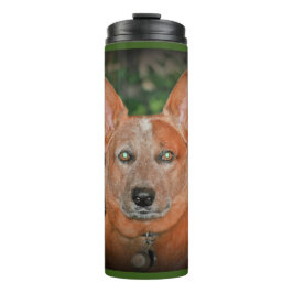 Garrafa Térmica Tumbler vermelho do Thermal do cão de Heeler do