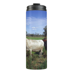 Garrafa Térmica Vaca Branca Que Lidera A Erva,