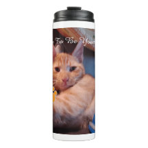 Valentine's Cat Pawprint Humor Cat Photo