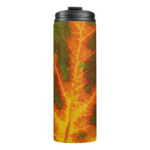 Garrafa Térmica Verde Laranja e Amarelo Aspen Folha #1