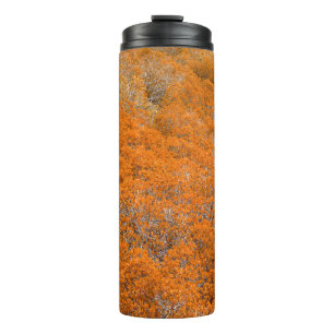 Garrafa Térmica Vista da floresta laranja. Fundo da folha laranja.