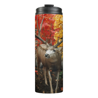 Garrafa Térmica Whitetail No Outono