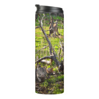 Wombats E Kangaroos, Tumbler Térmico