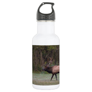 Garrafa Touro Elk Morning Walk Stainless Steel Water Boit