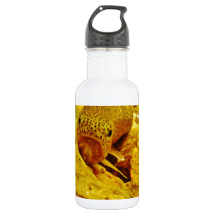 Garrafa Truta em fluxo