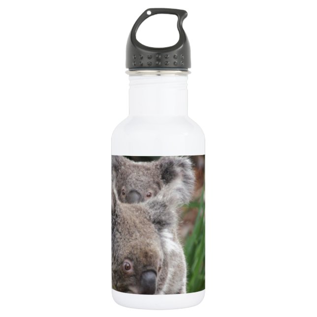 Garrafa Urso bonito dos animais do Koala do safari da (Frente)