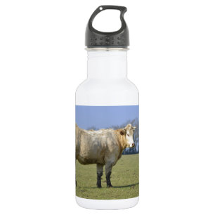 Garrafa Vaca no campo