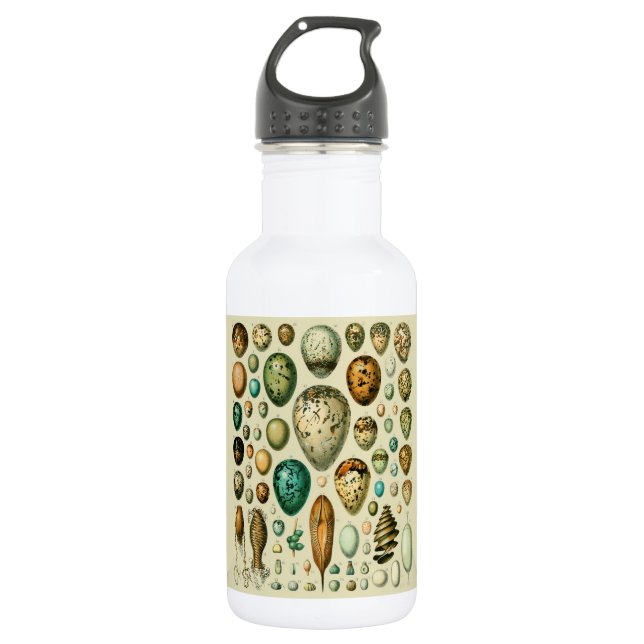 Garrafa Vintage Bird Ovos de Peixes Franceses (Frente)