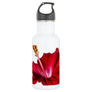 Garrafa Vista lateral do Flor Red Hibiscus