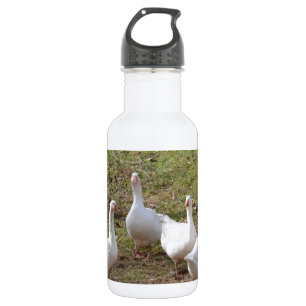 Garrafa White Geese