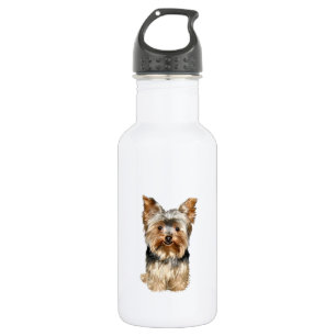 Garrafa Yorkshire Terrier (17)