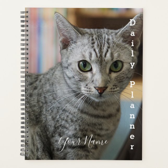 Gata Cinza - Planejador Diário- HAMbWG (Frente)