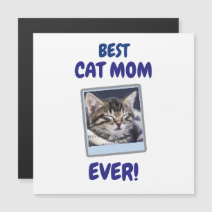 GATA MÃE MÃE SEMPRE PET AMOR DIA DAS MÃES CÃO