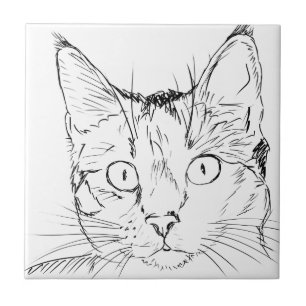 Gatinho