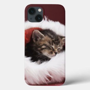 Gatinho adormecido no chapéu do Natal