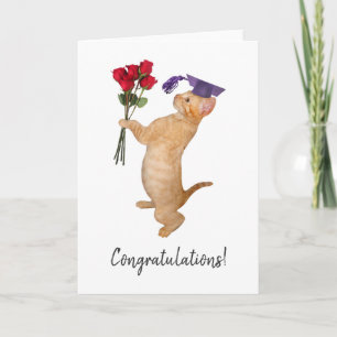 Gatinho alaranjado com o cartão da graduação da