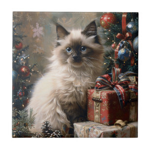 Gatinho Balinês, Gatinho, Natal, Retrato
