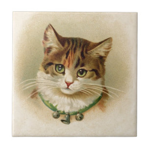 Gatinho bonito com os sinos na colar - para o