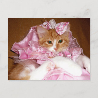 Gatinho Bonito de Rosa Cartão Postal