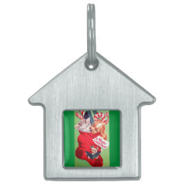 Gatinho bonito do filhote de cachorro do bebê do