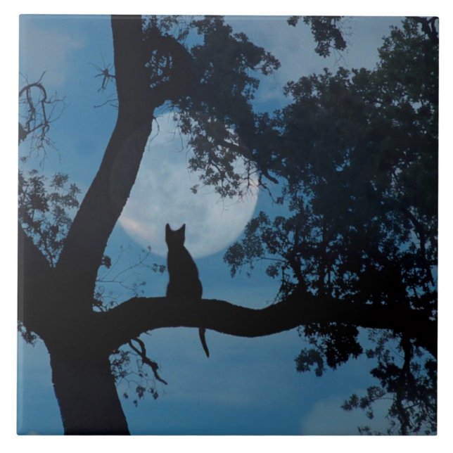 Gatinho bonito e Azulejo de arte lunar (Frente)