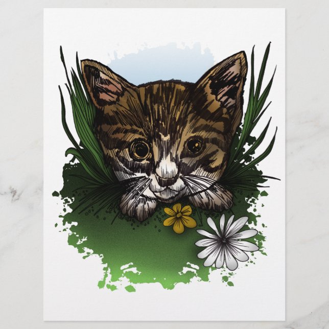 Gatinho Calico (Frente)