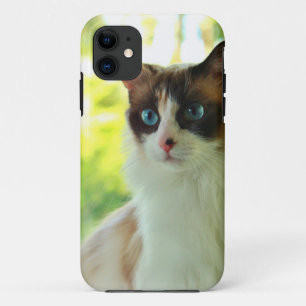 Gatinho Calico Ragdoll Capas de telefone e peles p