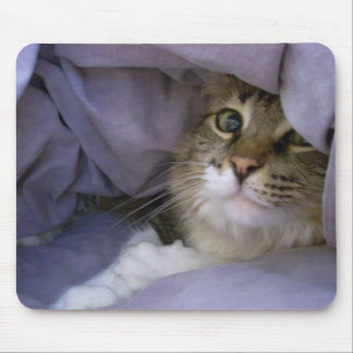 Gatinho coberto Mousepad