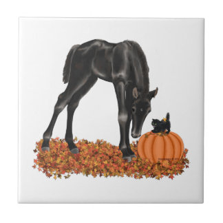 Gatinho de Coloração Halloween