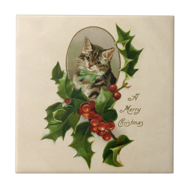 Gatinho de Natal Vitoriano em Tabby Antigo com Aze (Frente)