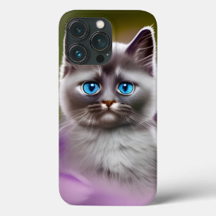 Gatinho De Olhos Azuis E Gelado