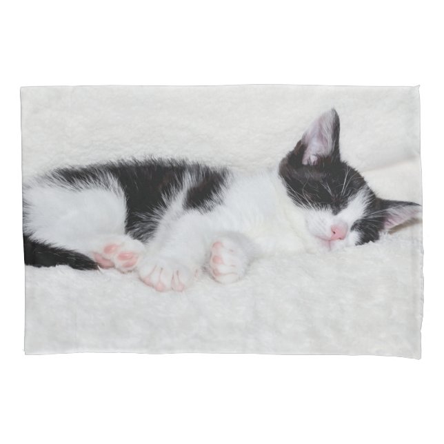 Gatinho do sono (Frente)