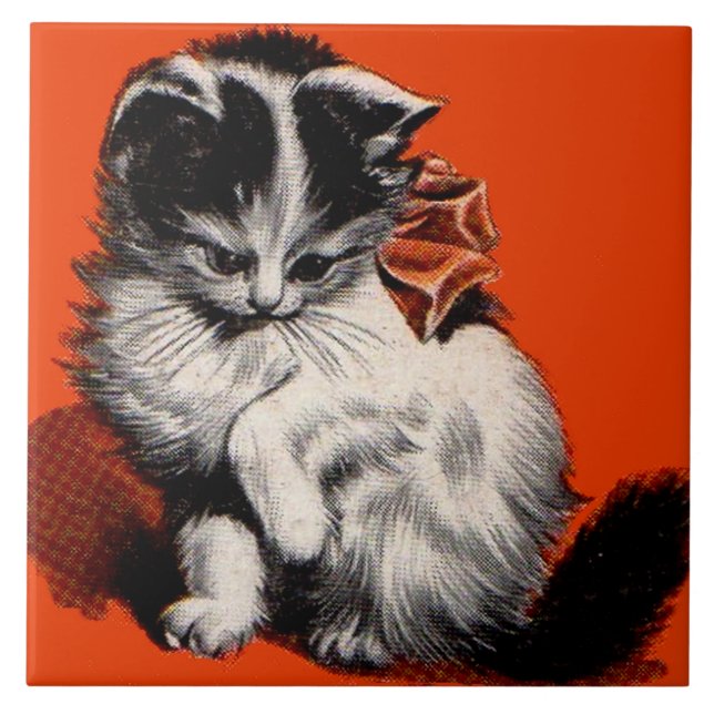 gatinho doce (Frente)