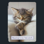 Gatinho dormindo<br><div class="desc">Guardar é o meu melhor trabalho. | Avanti,  a Marca Humor Global™ tem entretido o mundo com seus cartões de saudação Sentir-se bem engraçado por mais de 40 anos. Nossas personagens vivem a vida ao máximo e celebram o humor no dia a dia.</div>