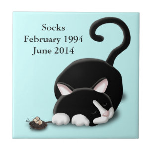 Gatinho dos desenhos animados com rato do