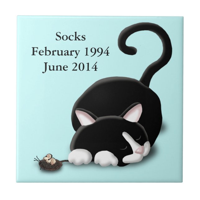 Gatinho dos desenhos animados com rato do (Frente)