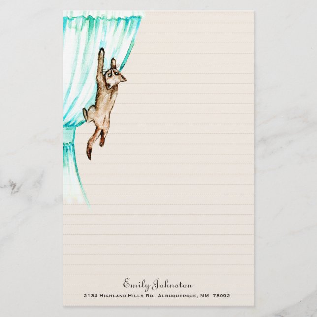 Gatinho em artigos de papelaria do costume da (Frente)