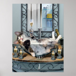 Gatinho Engraçado Poster Tipsy