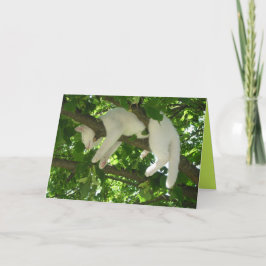 Gatinho Fofo Cartão Personalizável Fofo