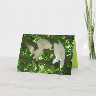 Gatinho Fofo Cartão Personalizável Fofo